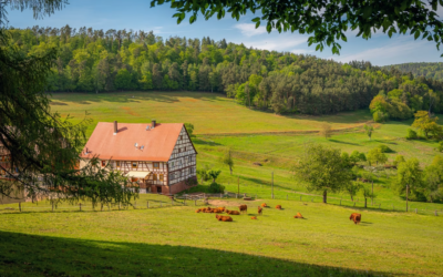 Kalkschutz für Bauernhöfe